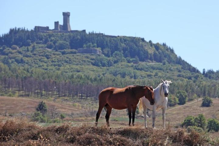 Casa Bandino Apartman Campiglia dʼOrcia Kültér fotó